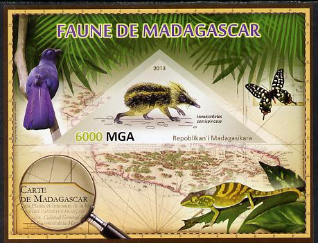 Madagascar 2013 Fauna - Streaked Tenrec imperf sheetlet containing one triangular value unmounted mint, stamps on , stamps on  stamps on triangulars, stamps on  stamps on maps, stamps on  stamps on animals, stamps on  stamps on insects, stamps on  stamps on lizards, stamps on  stamps on butterflies, stamps on  stamps on flowers