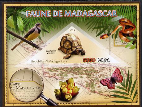 Madagascar 2013 Fauna - Angonoka Tortoise imperf sheetlet containing one triangular value unmounted mint, stamps on triangulars, stamps on maps, stamps on animals, stamps on insects, stamps on snakes, stamps on tortoises, stamps on flowers, stamps on birds