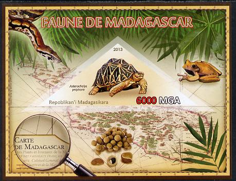 Madagascar 2013 Fauna - Madagascar Tortoise imperf sheetlet containing one triangular value unmounted mint, stamps on triangulars, stamps on maps, stamps on animals, stamps on insects, stamps on frogs, stamps on tortoises, stamps on snakes