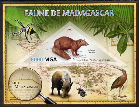 Madagascar 2013 Fauna - Salanoia Durrelli imperf sheetlet containing one triangular value unmounted mint, stamps on triangulars, stamps on maps, stamps on animals, stamps on insects, stamps on birds