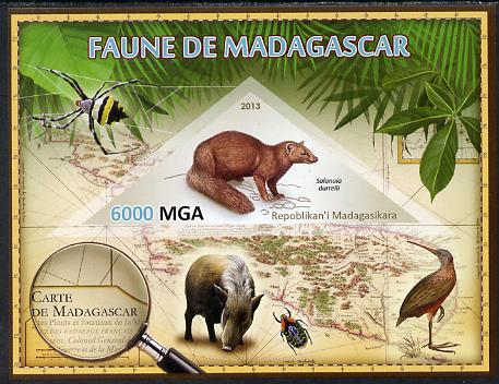 Madagascar 2013 Fauna - Salanoia Durrelli imperf sheetlet containing one triangular value unmounted mint, stamps on , stamps on  stamps on triangulars, stamps on  stamps on maps, stamps on  stamps on animals, stamps on  stamps on insects, stamps on  stamps on birds