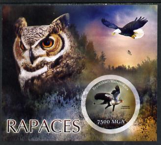 Madagascar 2014 Birds of Prey imperf m/sheet containing one circular value unmounted mint, stamps on , stamps on  stamps on birds, stamps on  stamps on birds of prey, stamps on  stamps on owls, stamps on  stamps on circular, stamps on  stamps on shaped