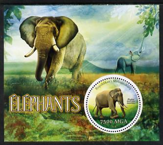 Madagascar 2014 Elephants perf m/sheet containing one circular value unmounted mint, stamps on animals, stamps on elephants, stamps on circular, stamps on shaped