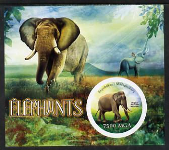 Madagascar 2014 Elephants imperf m/sheet containing one circular value unmounted mint, stamps on animals, stamps on elephants, stamps on circular, stamps on shaped