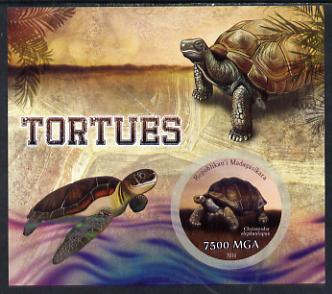 Madagascar 2014 Turtles imperf m/sheet containing one circular value unmounted mint, stamps on , stamps on  stamps on animals, stamps on  stamps on reptiles, stamps on  stamps on turtles, stamps on  stamps on circular, stamps on  stamps on shaped