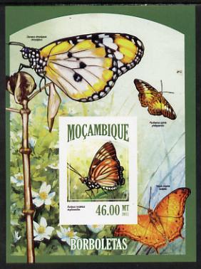 Mozambique 2013 Butterflies #6 imperf deluxe sheet unmounted mint. Note this item is privately produced and is offered purely on its thematic appeal, stamps on , stamps on  stamps on butterflies