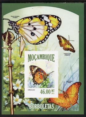 Mozambique 2013 Butterflies #8 imperf deluxe sheet unmounted mint. Note this item is privately produced and is offered purely on its thematic appeal, stamps on , stamps on  stamps on butterflies