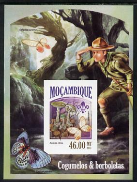 Mozambique 2013 Scouting & Butterflies #5 imperf deluxe sheet unmounted mint. Note this item is privately produced and is offered purely on its thematic appeal, stamps on butterflies, stamps on scouts