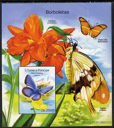 St Thomas & Prince Islands 2014 Butterflies C imperf deluxe m/sheet unmounted mint. Note this item is privately produced and is offered purely on its thematic appeal, stamps on , stamps on  stamps on butterflies, stamps on  stamps on 