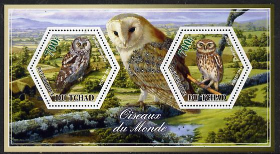 Chad 2014 Owls #2 perf sheetlet containing two hexagonal-shaped values unmounted mint , stamps on shaped, stamps on hexagon, stamps on hexagonal, stamps on birds.birds of prey, stamps on owls