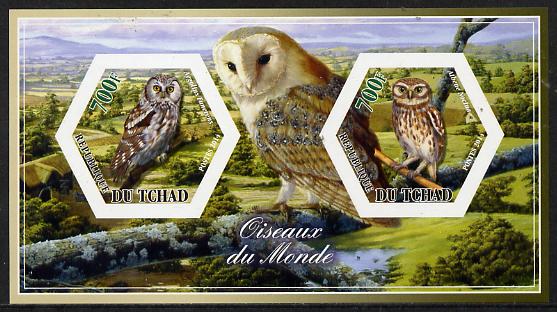 Chad 2014 Owls #2 imperf sheetlet containing two hexagonal-shaped values unmounted mint , stamps on , stamps on  stamps on shaped, stamps on  stamps on hexagon, stamps on  stamps on hexagonal, stamps on  stamps on birds.birds of prey, stamps on  stamps on owls