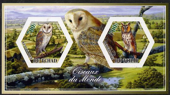 Chad 2014 Owls #3 imperf sheetlet containing two hexagonal-shaped values unmounted mint , stamps on , stamps on  stamps on shaped, stamps on  stamps on hexagon, stamps on  stamps on hexagonal, stamps on  stamps on birds.birds of prey, stamps on  stamps on owls