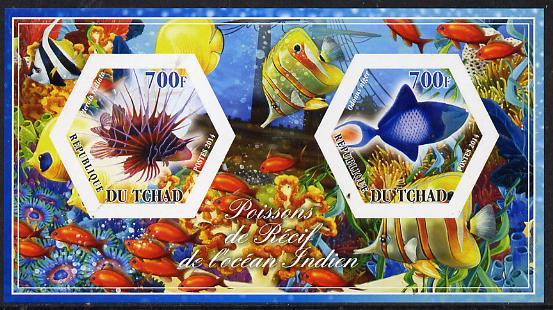 Chad 2014 Fish #3 imperf sheetlet containing two hexagonal-shaped values unmounted mint , stamps on shaped, stamps on hexagon, stamps on hexagonal, stamps on fish