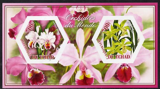 Chad 2014 Orchids #4 imperf sheetlet containing two hexagonal-shaped values unmounted mint , stamps on shaped, stamps on hexagon, stamps on hexagonal, stamps on flowers, stamps on orchids