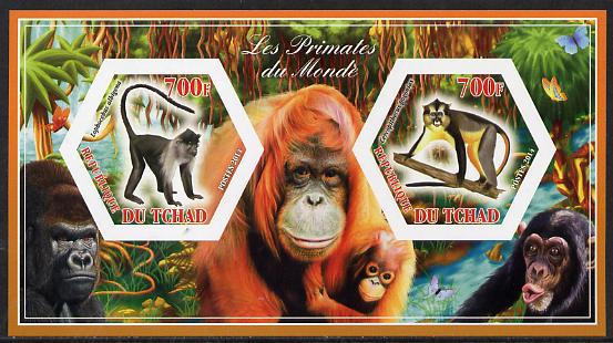 Chad 2014 Primates of the World #1 imperf sheetlet containing two hexagonal-shaped values unmounted mint , stamps on , stamps on  stamps on shaped, stamps on  stamps on hexagon, stamps on  stamps on hexagonal, stamps on  stamps on animals, stamps on  stamps on apes, stamps on  stamps on primates, stamps on  stamps on 