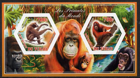 Chad 2014 Primates of the World #2 imperf sheetlet containing two hexagonal-shaped values unmounted mint , stamps on , stamps on  stamps on shaped, stamps on  stamps on hexagon, stamps on  stamps on hexagonal, stamps on  stamps on animals, stamps on  stamps on apes, stamps on  stamps on primates, stamps on  stamps on 