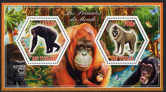 Chad 2014 Primates of the World #3 perf sheetlet containing two hexagonal-shaped values unmounted mint , stamps on shaped, stamps on hexagon, stamps on hexagonal, stamps on animals, stamps on apes, stamps on primates, stamps on 