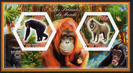 Chad 2014 Primates of the World #3 imperf sheetlet containing two hexagonal-shaped values unmounted mint , stamps on shaped, stamps on hexagon, stamps on hexagonal, stamps on animals, stamps on apes, stamps on primates, stamps on 