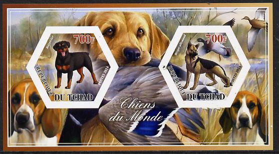 Chad 2014 Dogs #2 imperf sheetlet containing two hexagonal-shaped values unmounted mint , stamps on , stamps on  stamps on shaped, stamps on  stamps on hexagon, stamps on  stamps on hexagonal, stamps on  stamps on dogs