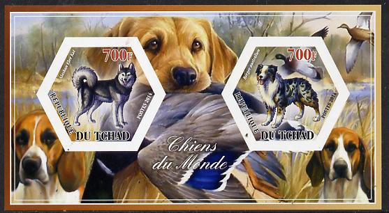 Chad 2014 Dogs #3 imperf sheetlet containing two hexagonal-shaped values unmounted mint , stamps on , stamps on  stamps on shaped, stamps on  stamps on hexagon, stamps on  stamps on hexagonal, stamps on  stamps on dogs