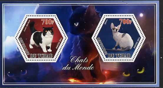 Chad 2014 Cats #1 perf sheetlet containing two hexagonal-shaped values unmounted mint , stamps on shaped, stamps on hexagon, stamps on hexagonal, stamps on cats