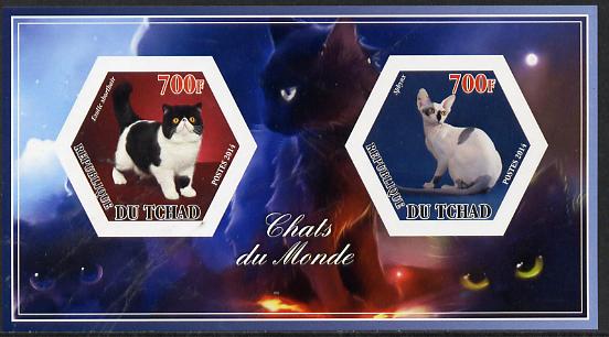 Chad 2014 Cats #1 imperf sheetlet containing two hexagonal-shaped values unmounted mint , stamps on shaped, stamps on hexagon, stamps on hexagonal, stamps on cats