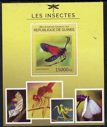 Guinea - Conakry 2014 Insects - Zygaena filipendulae (6 Spot Burnet Moth) imperf s/sheet unmounted mint. Note this item is privately produced and is offered purely on its..., stamps on insects, stamps on butterflies, stamps on 