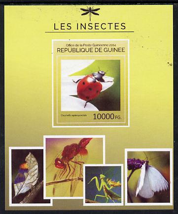 Guinea - Conakry 2014 Insects - Coccinella septempunctata (Ladybird) imperf s/sheet unmounted mint. Note this item is privately produced and is offered purely on its them..., stamps on insects