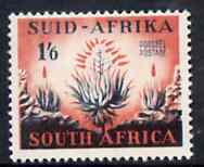 South Africa 1953 Aloes 1s6d unmounted mint, SG 148*, stamps on flowers, stamps on cacti