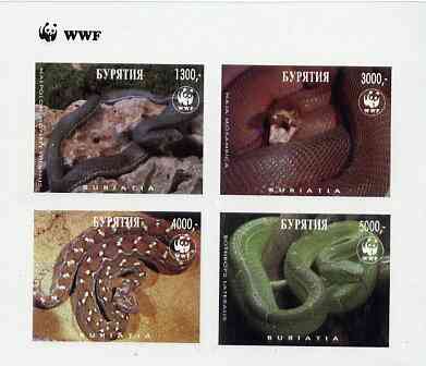 Buriatia Republic 1997 WWF - Snakes imperf sheetlet containing complete set of 4 unmounted mint, stamps on , stamps on  stamps on wwf    reptiles     animals    snakes, stamps on  stamps on  wwf , stamps on  stamps on , stamps on  stamps on snake, stamps on  stamps on snakes, stamps on  stamps on 