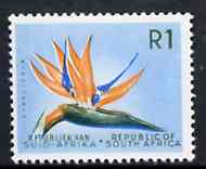 South Africa 1963 Strelitzia 1r (wmk RSA) unmounted mint, SG 236, stamps on flowers