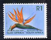South Africa 1964 Strelitzia 1r (Redrawn & wmk'd) unmounted mint, SG 251*, stamps on flowers