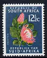 South Africa 1964 Protea 12.5c blue-green (Redrawn & wmk'd) unmounted mint, SG 247a*, stamps on , stamps on  stamps on flowers, stamps on  stamps on proteas