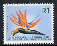South Africa 1961 Strelitzia 1r (wmk'd) unmounted mint, SG 210, stamps on , stamps on  stamps on flowers