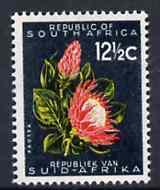 South Africa 1961 Protea 12.5c (wmk'd) unmounted mint, SG 207, stamps on flowers, stamps on proteas