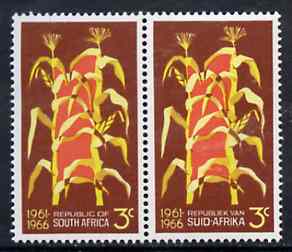 South Africa 1966 Maize Plants 3c se-tenant pair (from 5th Anniversary set) unmounted mint, SG 264, stamps on , stamps on  stamps on agriculture, stamps on  stamps on maize, stamps on  stamps on crops, stamps on  stamps on farming, stamps on  stamps on food