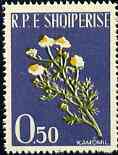Albania 1961 Medicinal Plants 0L50 Camomile unmounted mint, Mi 654, stamps on flowers    medical, stamps on medicinal plants