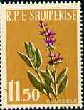 Albania 1961 Medicinal Plants 11L50 Sage unmounted mint, Mi 656, stamps on , stamps on  stamps on flowers    medical, stamps on medicinal plants