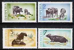 Albania 1965 Water Buffaloes set of 4 values only (1, 2, 3 & 7L) unmounted mint, Mi 921-24, stamps on , stamps on  stamps on buffalo       bovine