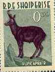 Albania 1962 Animals 0L50 Chamois unmounted mint, Mi 699, stamps on , stamps on  stamps on animals      chamois