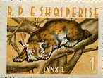 Albania 1962 Animals 1L Lynx unmounted mint, Mi 700, stamps on animals      lynx
