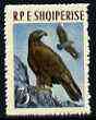 Albania 1963 Golden Eagle 3L unmounted mint, Mi 742, stamps on birds, stamps on birds of prey