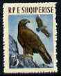 Albania 1963 Golden Eagle 3L unmounted mint, Mi 742, stamps on , stamps on  stamps on birds, stamps on  stamps on birds of prey