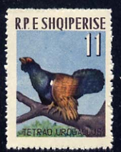 Albania 1963 Capercaillie 11L unmounted mint, Mi 744, stamps on birds, stamps on game