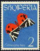 Albania 1963 Euplagia quadripunctaria 2L from Butterflies & Moths set unmounted mint, Mi 774, stamps on butterflies