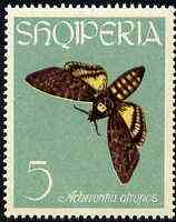 Albania 1963 Acherontia atropos 5L from Butterflies & Moths set unmounted mint, Mi 776, stamps on butterflies