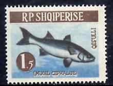 Albania 1964 Striped Mullet 1L50 unmounted mint, Mi 811, stamps on , stamps on  stamps on fish    mullet