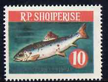 Albania 1964 Salmon 10L unmounted mint, Mi 814, stamps on , stamps on  stamps on fish    salmon