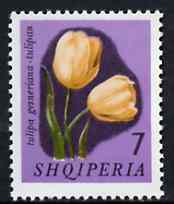 Albania 1965 Tulips 7L unmounted mint, Mi 966, stamps on tulips, stamps on flowers