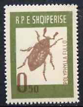 Albania 1963 Polyphylla fullo 0L50 from Insects set unmounted mint, Mi 735, stamps on , stamps on  stamps on insects